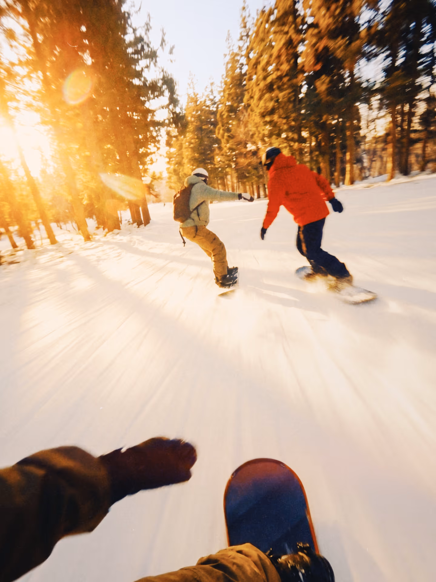 Snowboarding through the trees at sunset in Japan